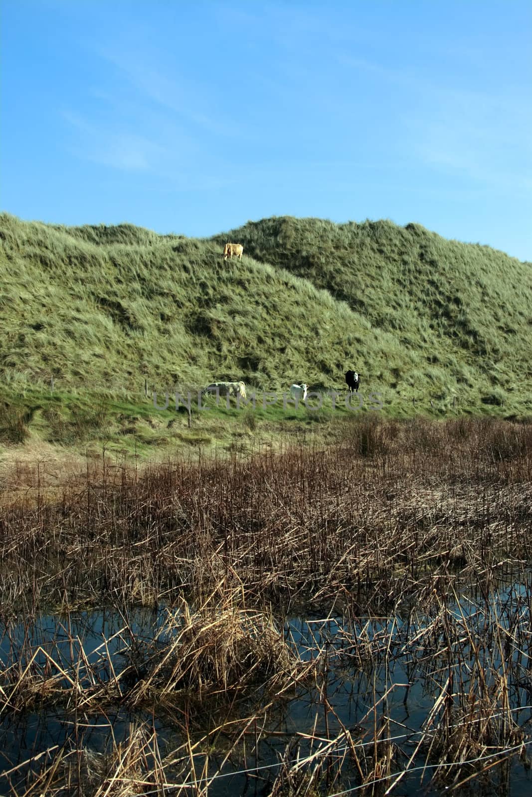 weird sand dunes on the west coast of ireland