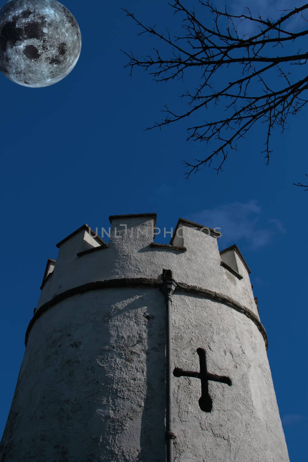 an old ancient tower on the shannon river in ireland