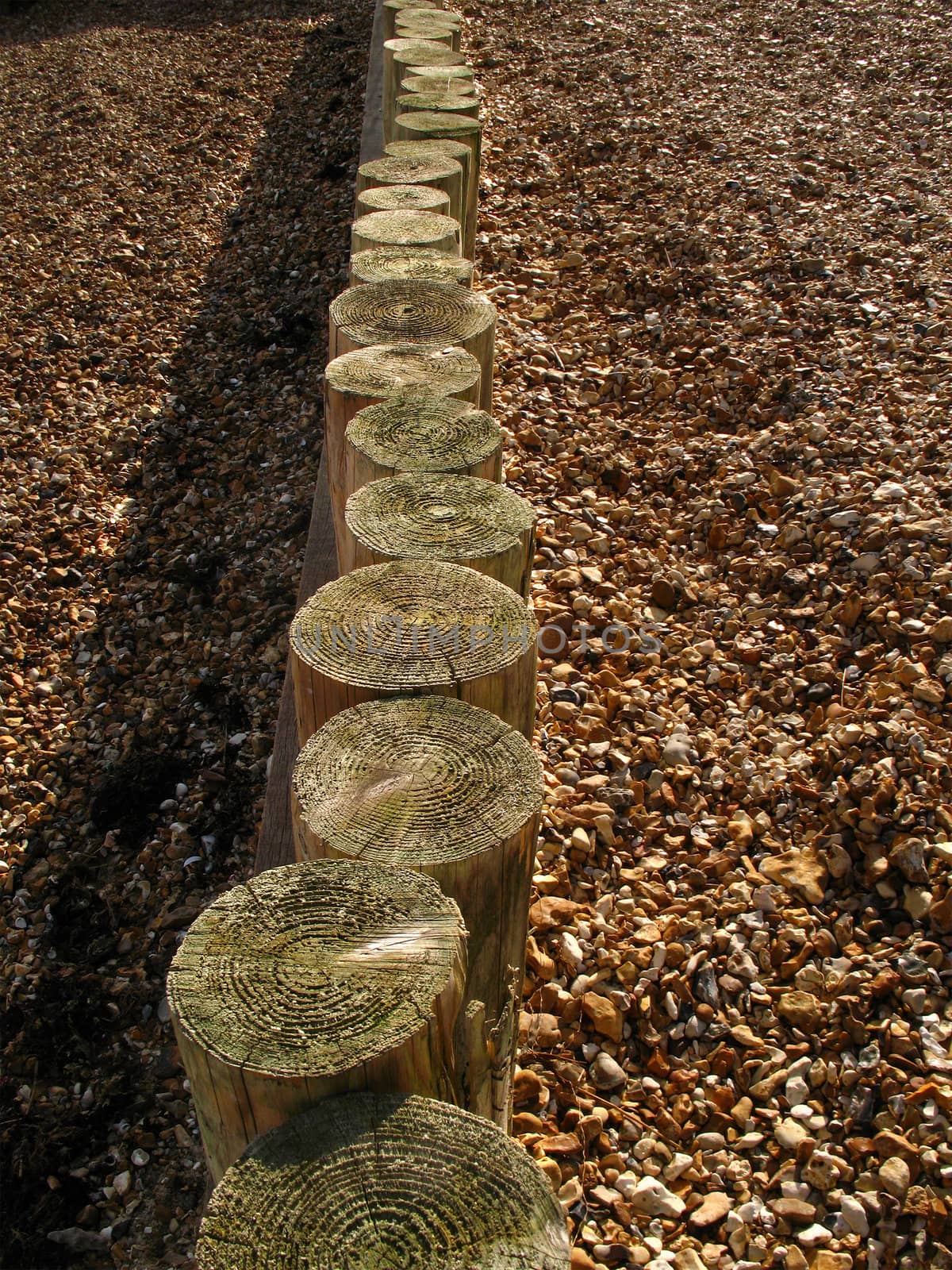 A row of wooden posts on a pebbled beach

