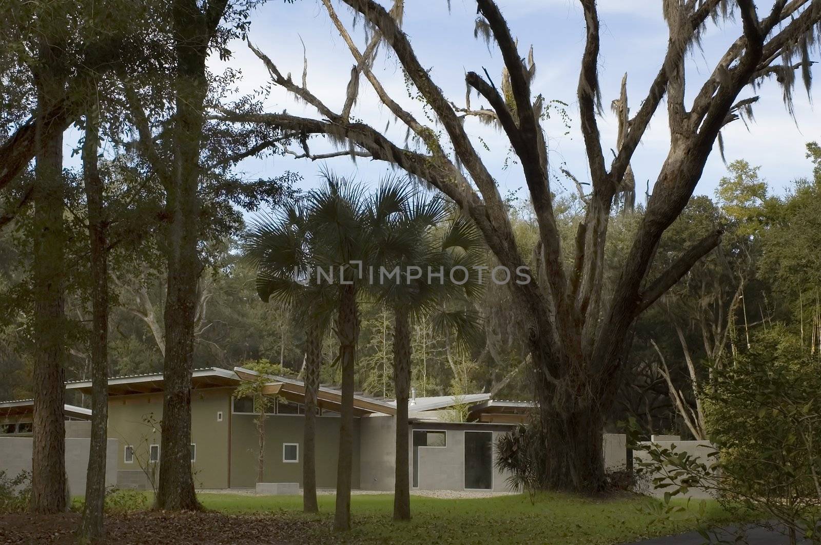 A modern home in Florida.