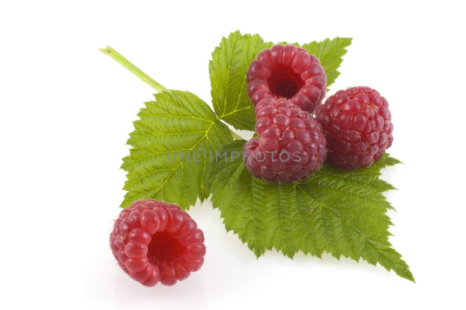 Four juicy raspberries and a leaf isolated on white.