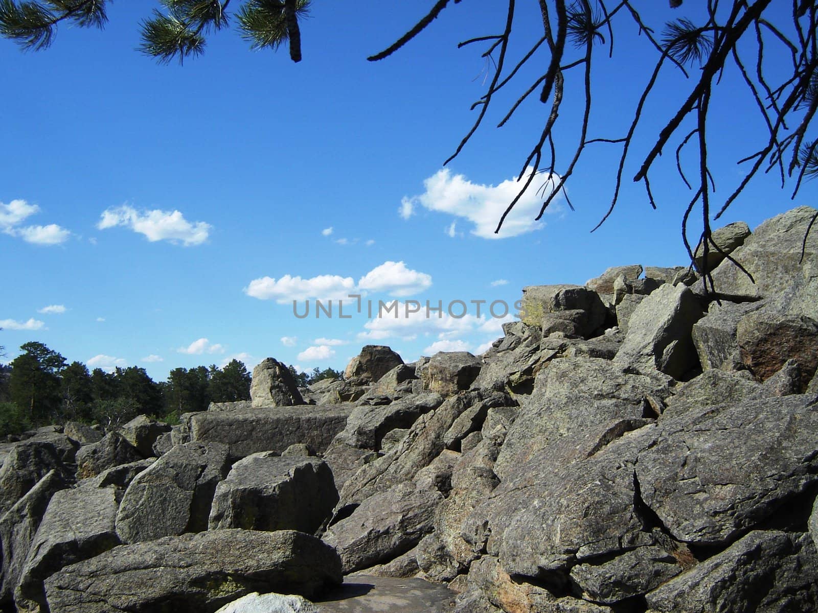 Trees and rocks by RefocusPhoto