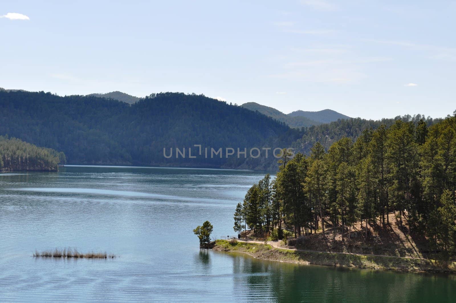 Black Hills lake by RefocusPhoto