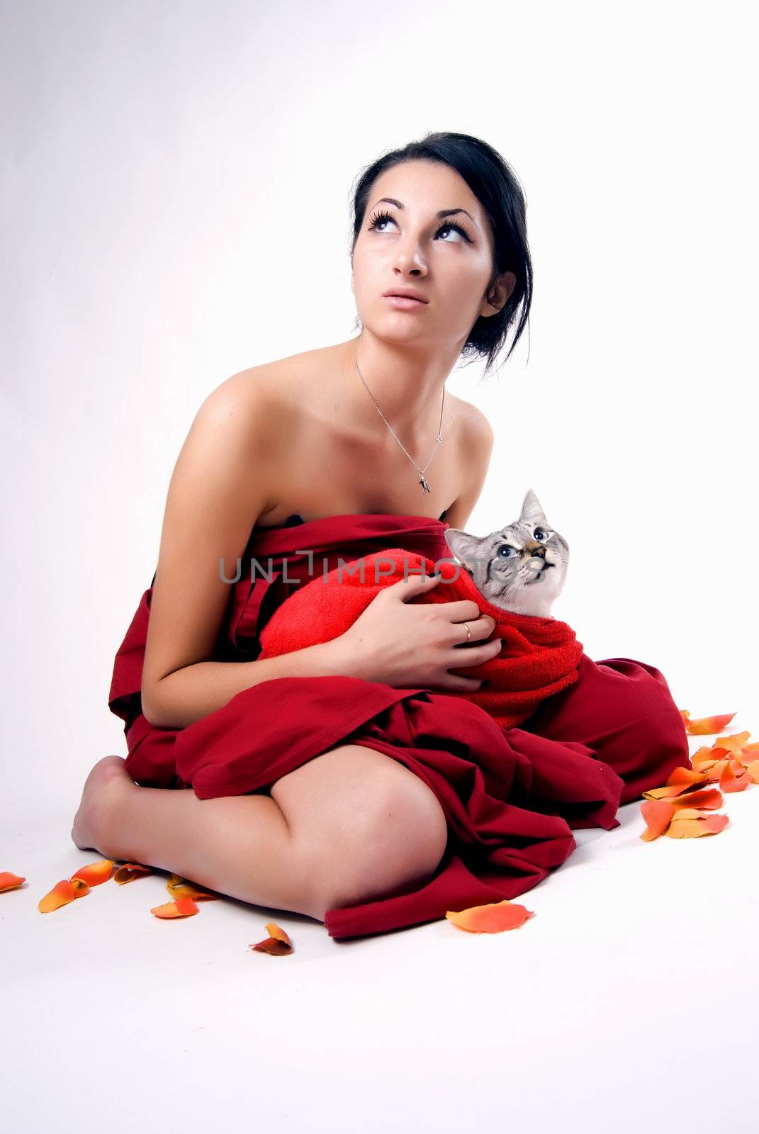 young beautiful brunette taking care of the cat