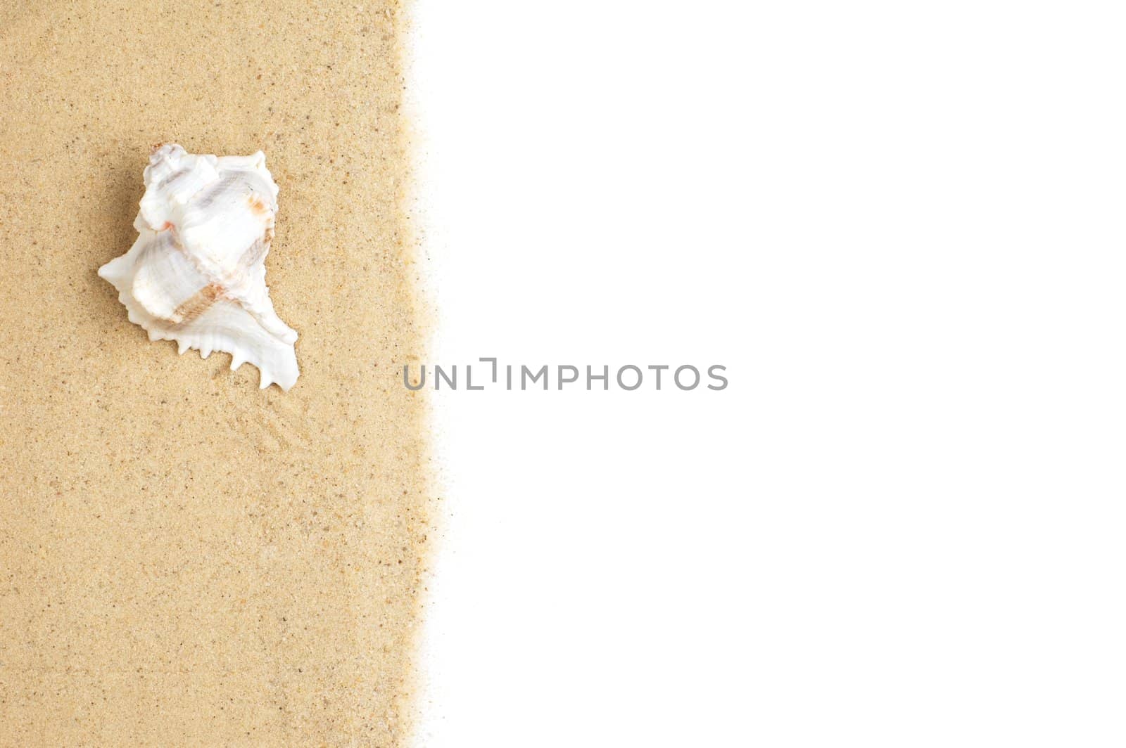 Beach scene photographed against a white background.