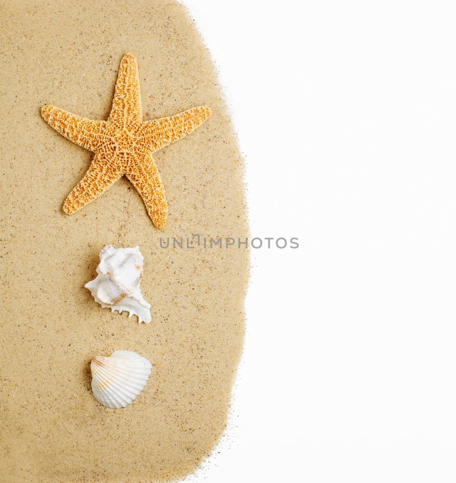 Beach scene photographed against a white background.