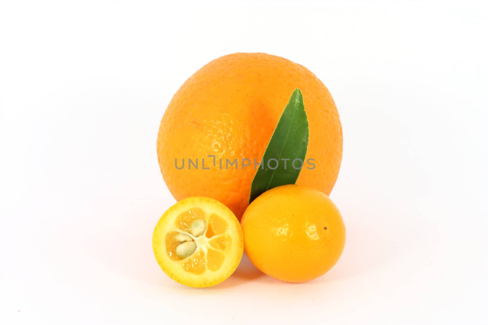 Ripe orange and kumquat isolated on white