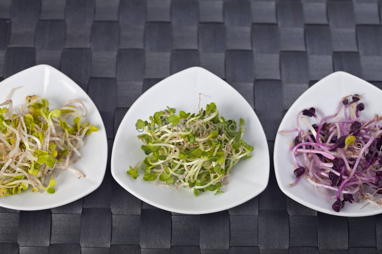salad sprouts on a white plate by bernjuer
