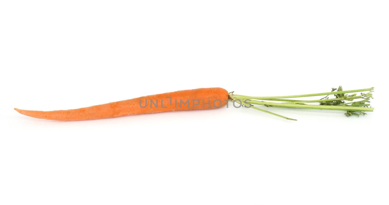A fresh carrot isolated on white background.