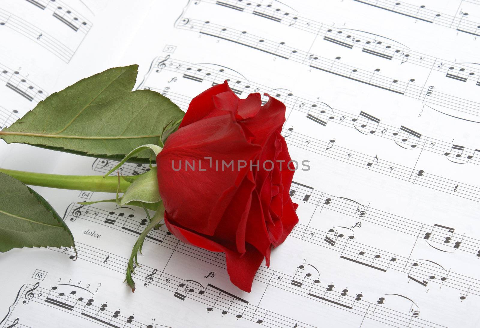 A rose compliments some sheet music to a piano piece.