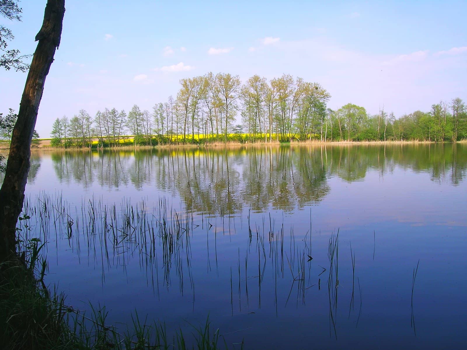 lake of the natural lake