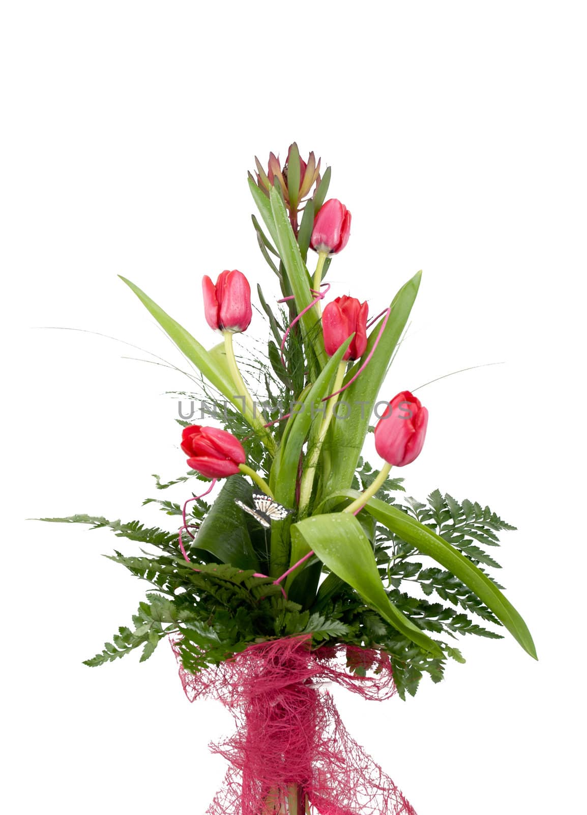 Bouquet of beautiful red tulips isolated on white background.