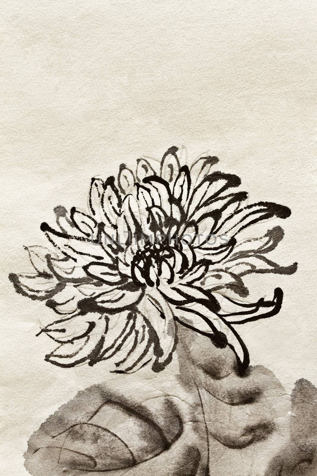 Artwork of Chinese traditional painting of single flower, chrysanthemum on art paper.