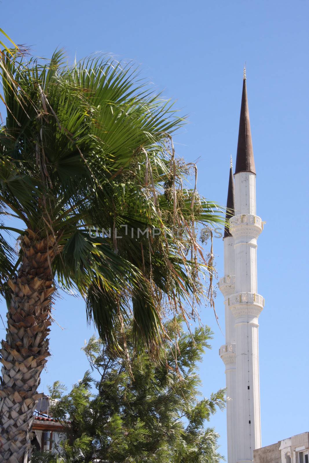 Minaret Muslim Mosque Turgutreis Turkey Clear blue sky