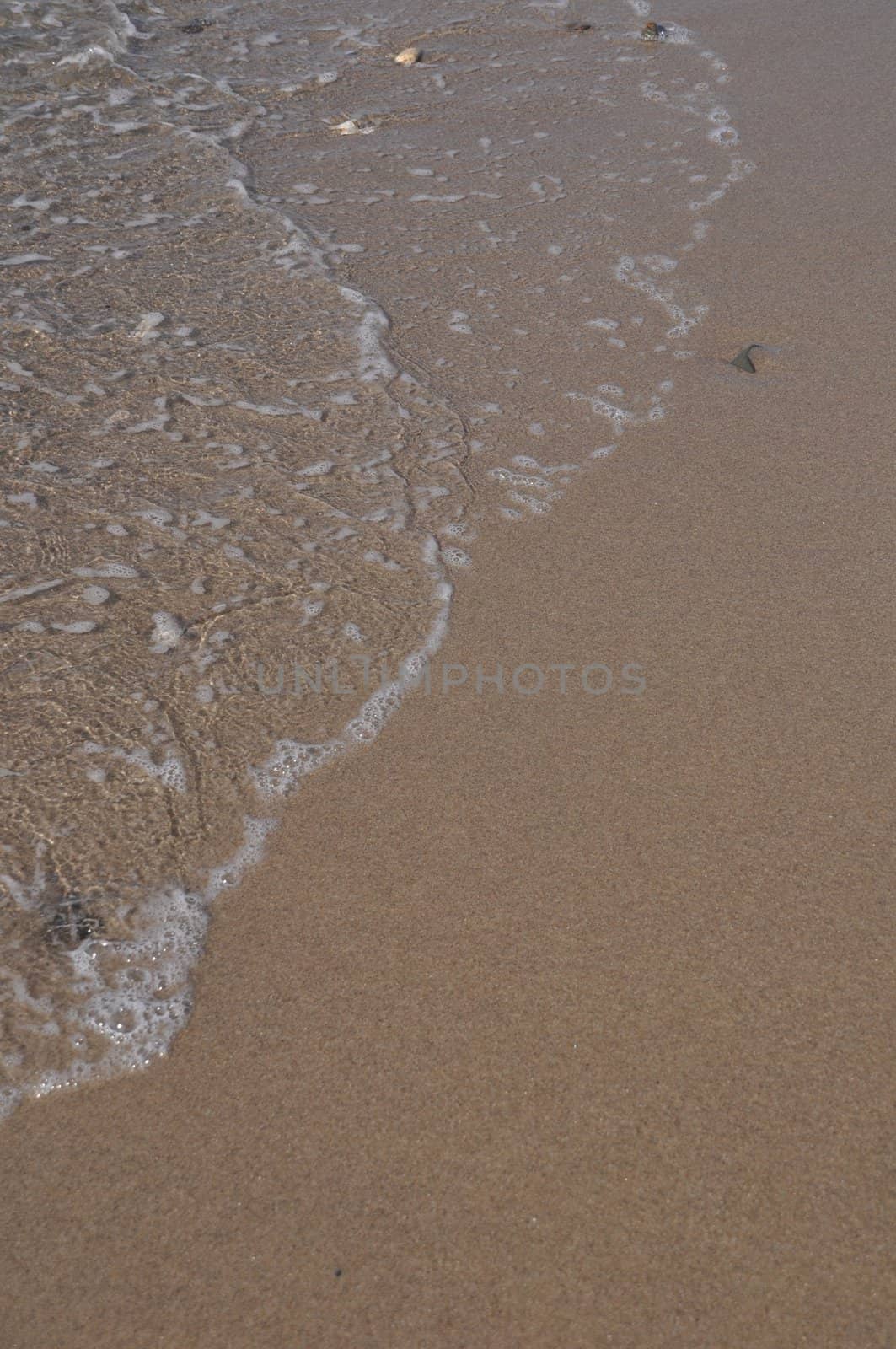 gorgeous beach sand and sea foam (copy-space available)