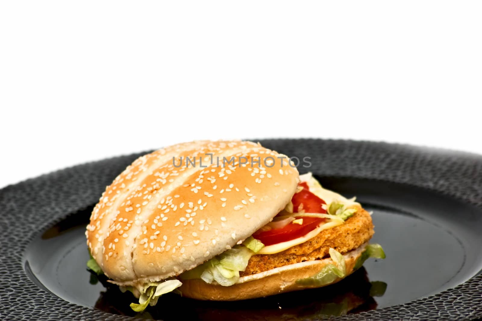 Fresh chicken burger