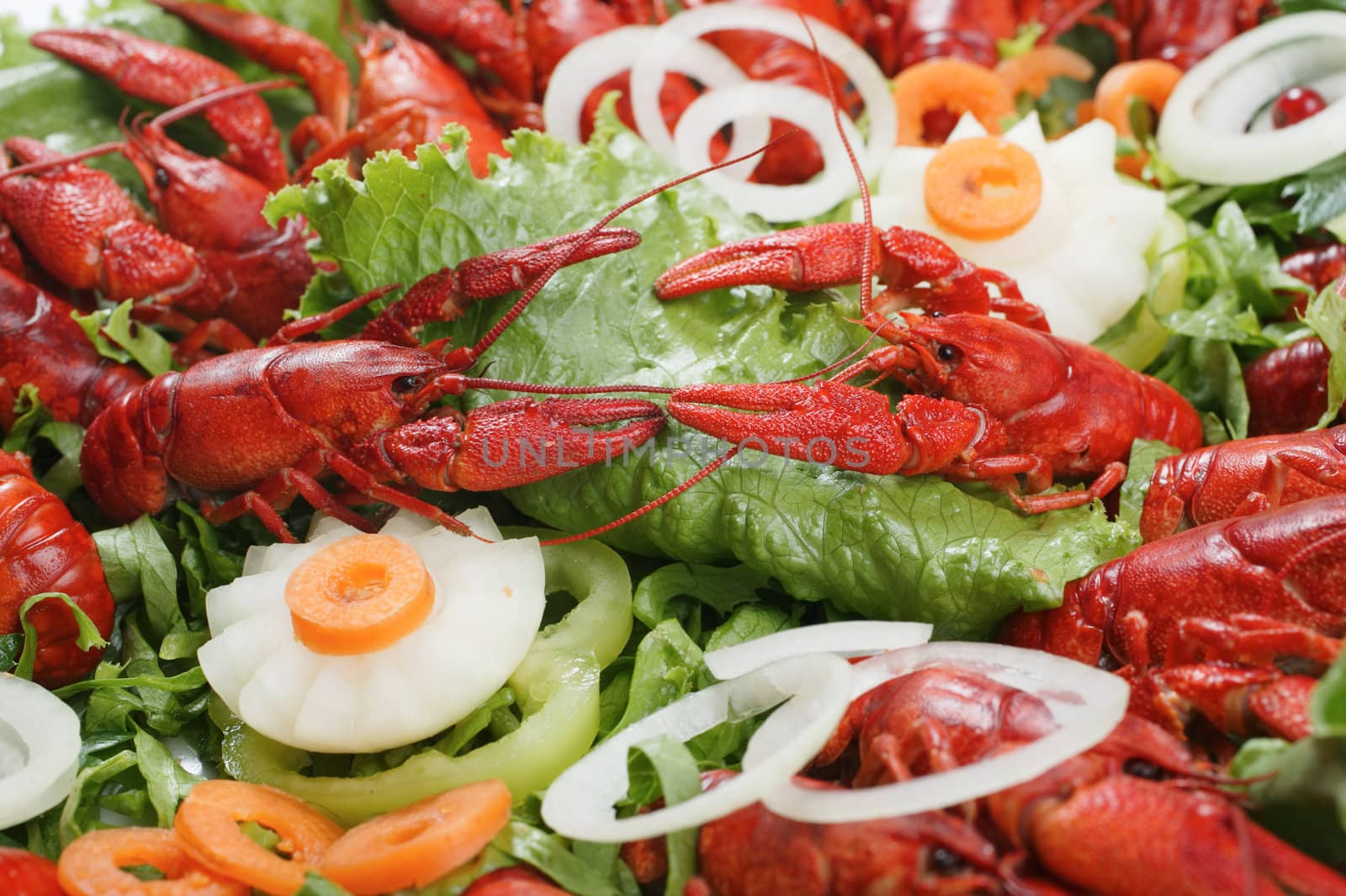 Cooked lobsters in a plate close-up