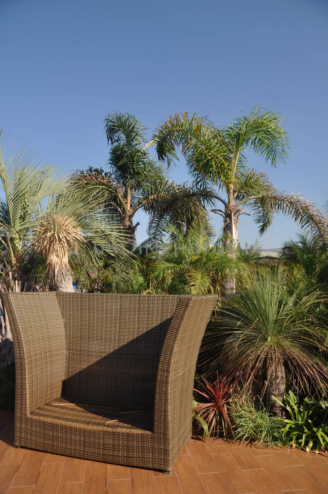 outdoor hotel decoration with relax sofa and tropical trees at the background