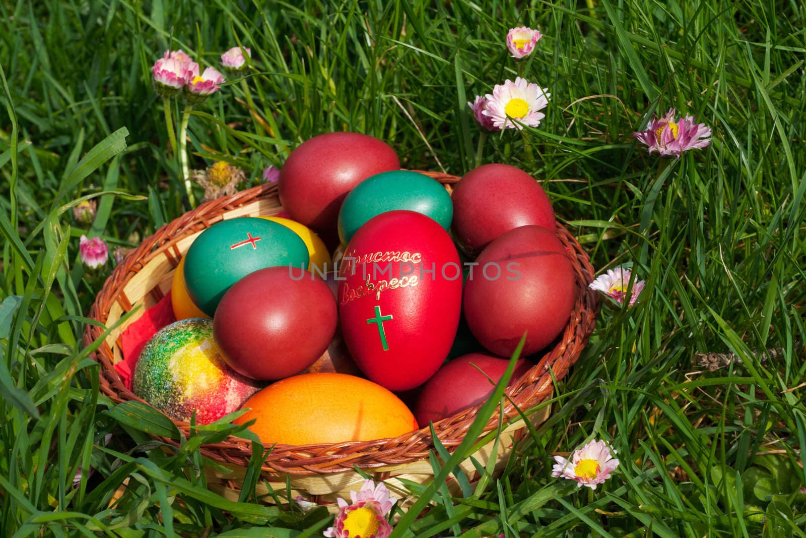 Colorful Easter eggs in a container, posed on green spring grass with flowers