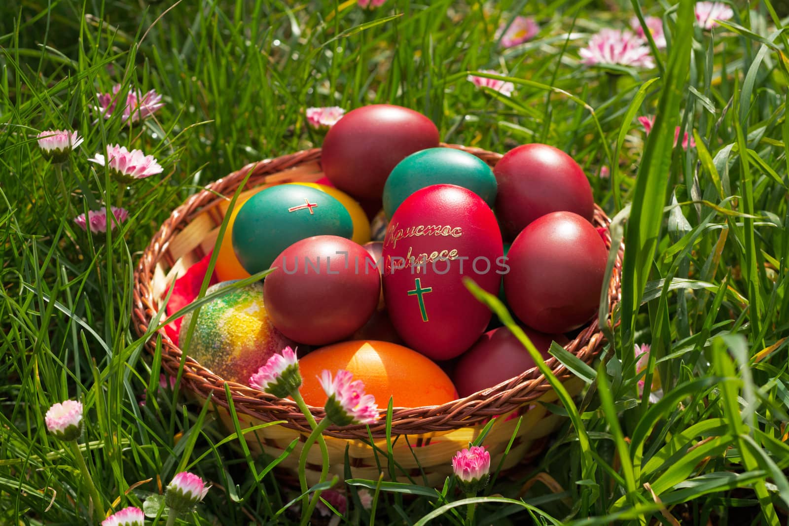 Easter eggs in a wicker basket, posed on green grass, spring flowers around