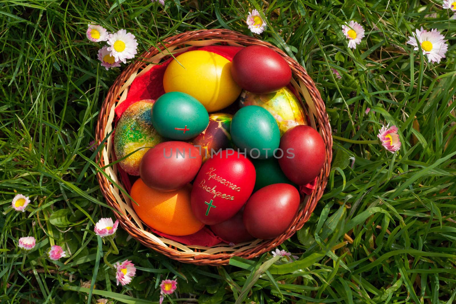 Easter eggs in a container, view from the top, some spring flowers around