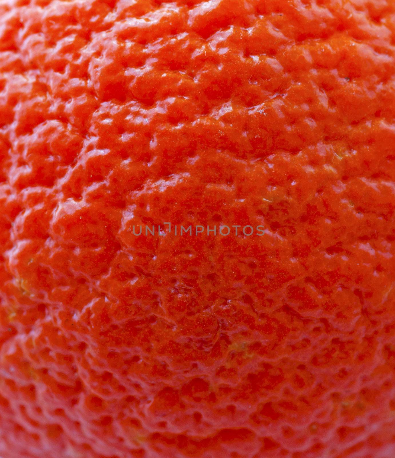 Strict closeup of skin of an orange, for background