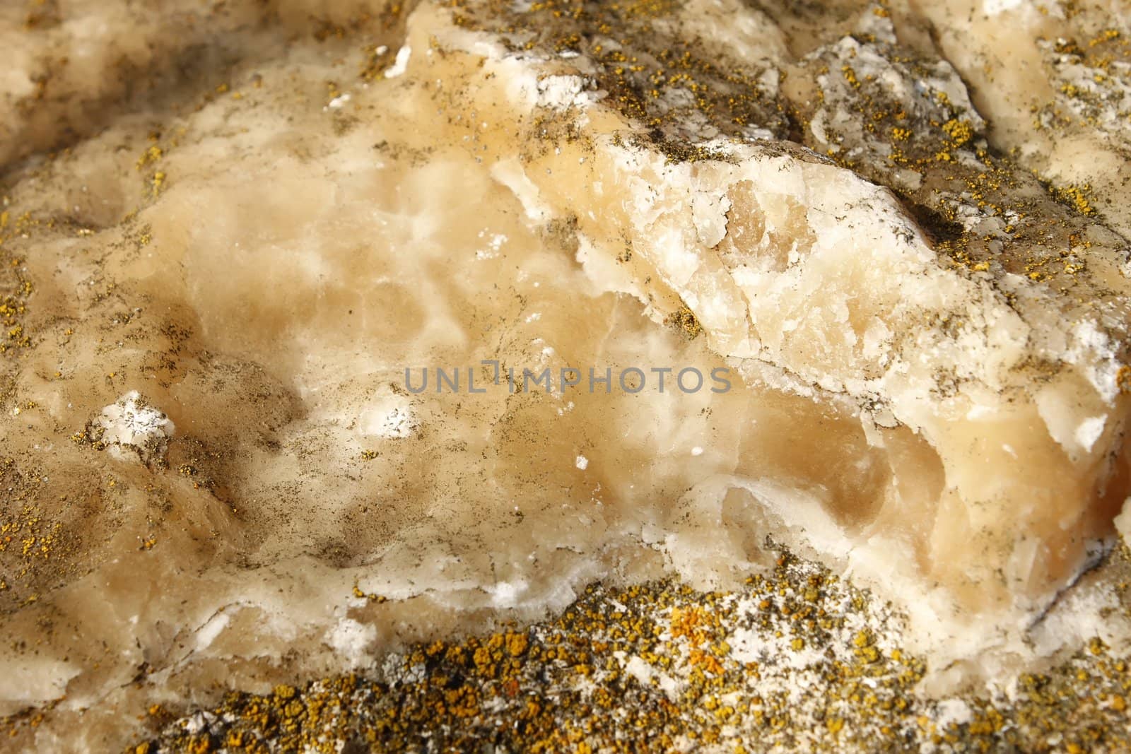 Mineral deposits on limestone partially covered with a lichen sprouted