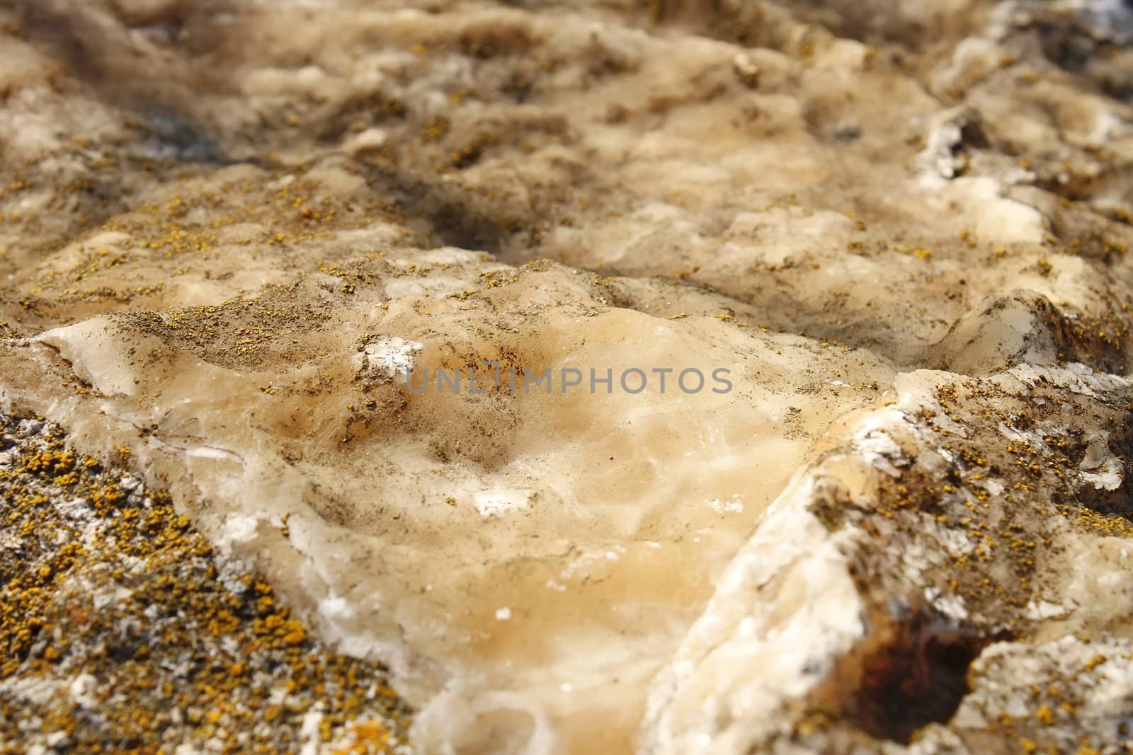 Mineral deposits on limestone partially covered with a lichen sprouted