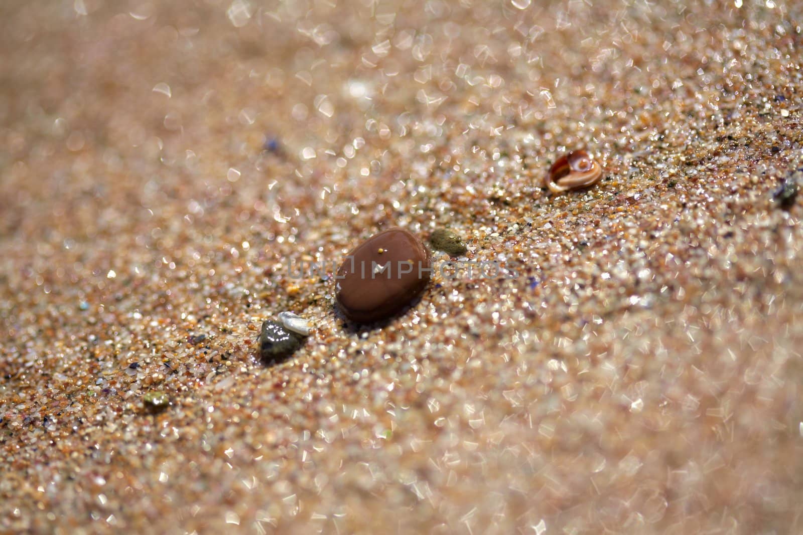 Wet stone at the sea shore