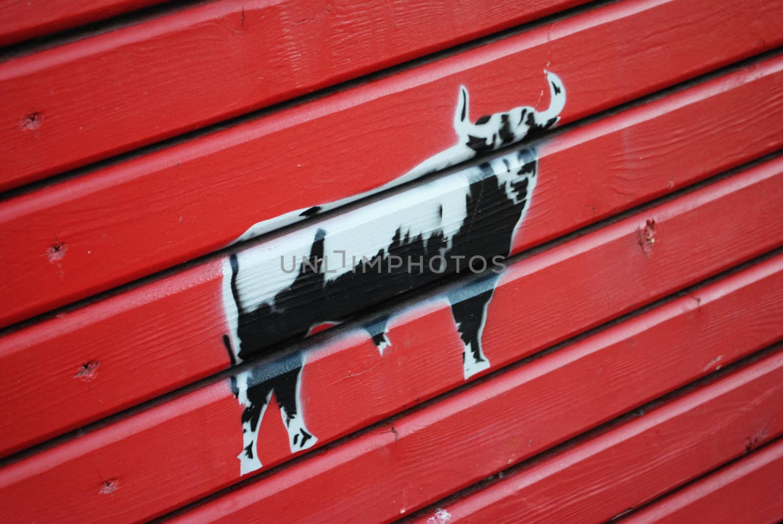 A stencil graffiti piece of a bull.
