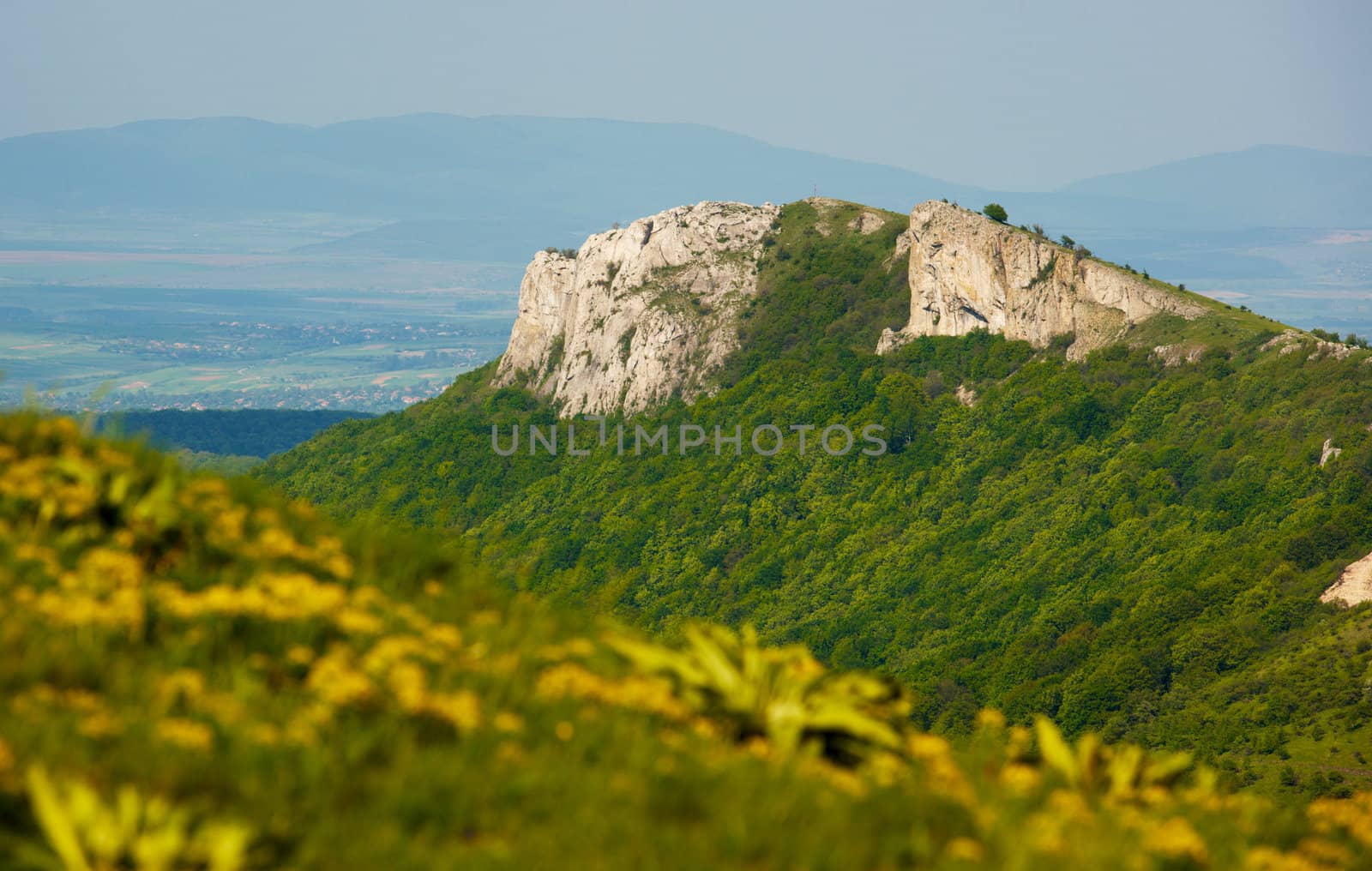 Landscape with the Urushki rocks near Kotel, Bulgaria