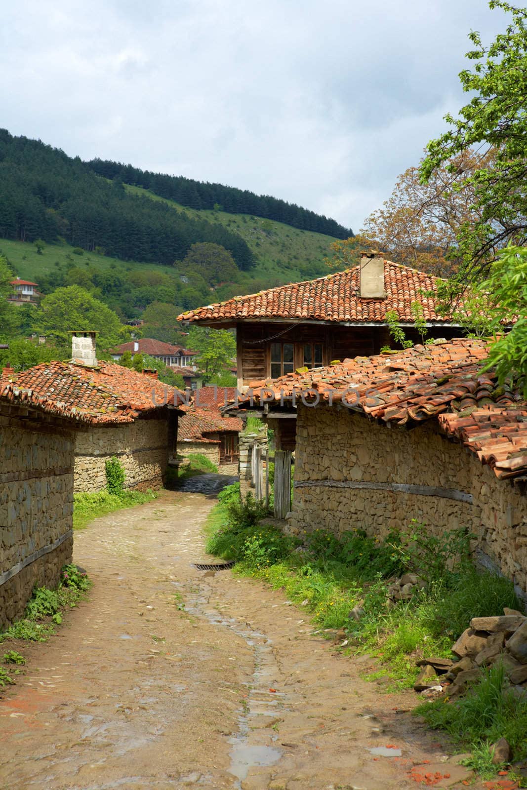 Jeravna after a rain by ecobo