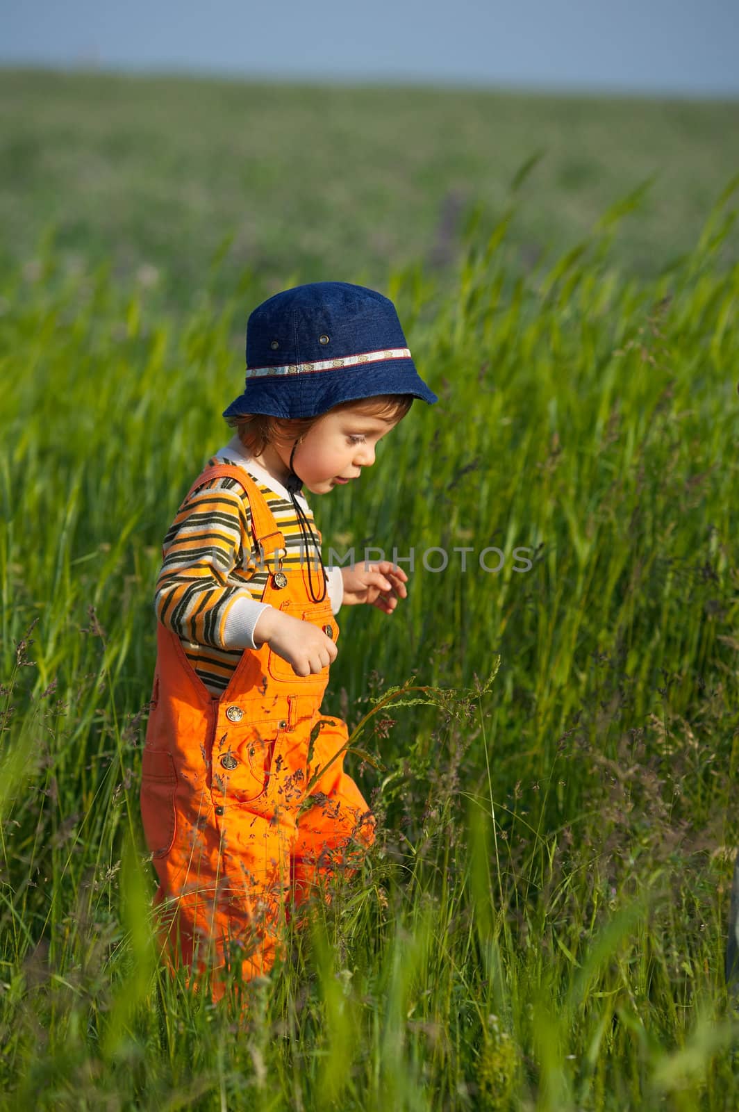 Little boy walking in a green grass at sunset light