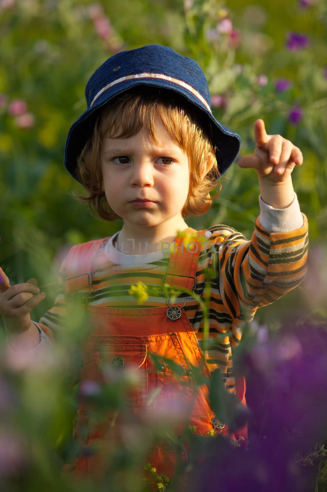 Little boy with hat pointing with finger in a flowers field at sunset