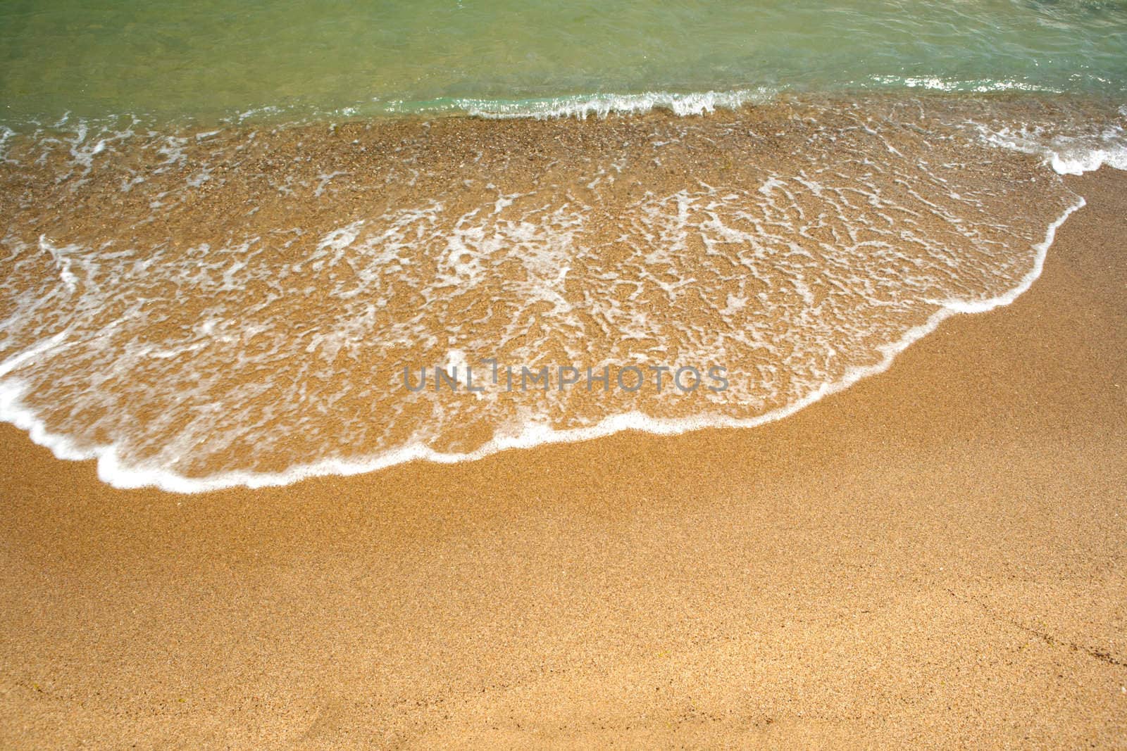 A wave, splashing on golden beach sand