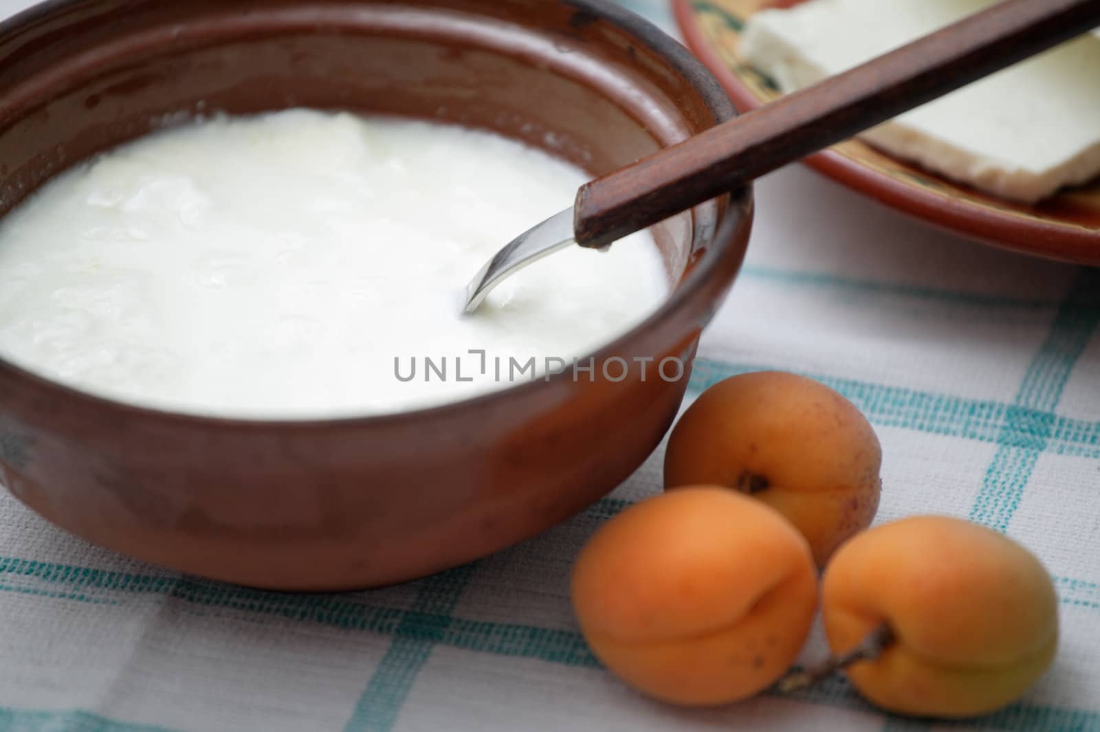 Bulgarian yoghurt in a earthen bowl