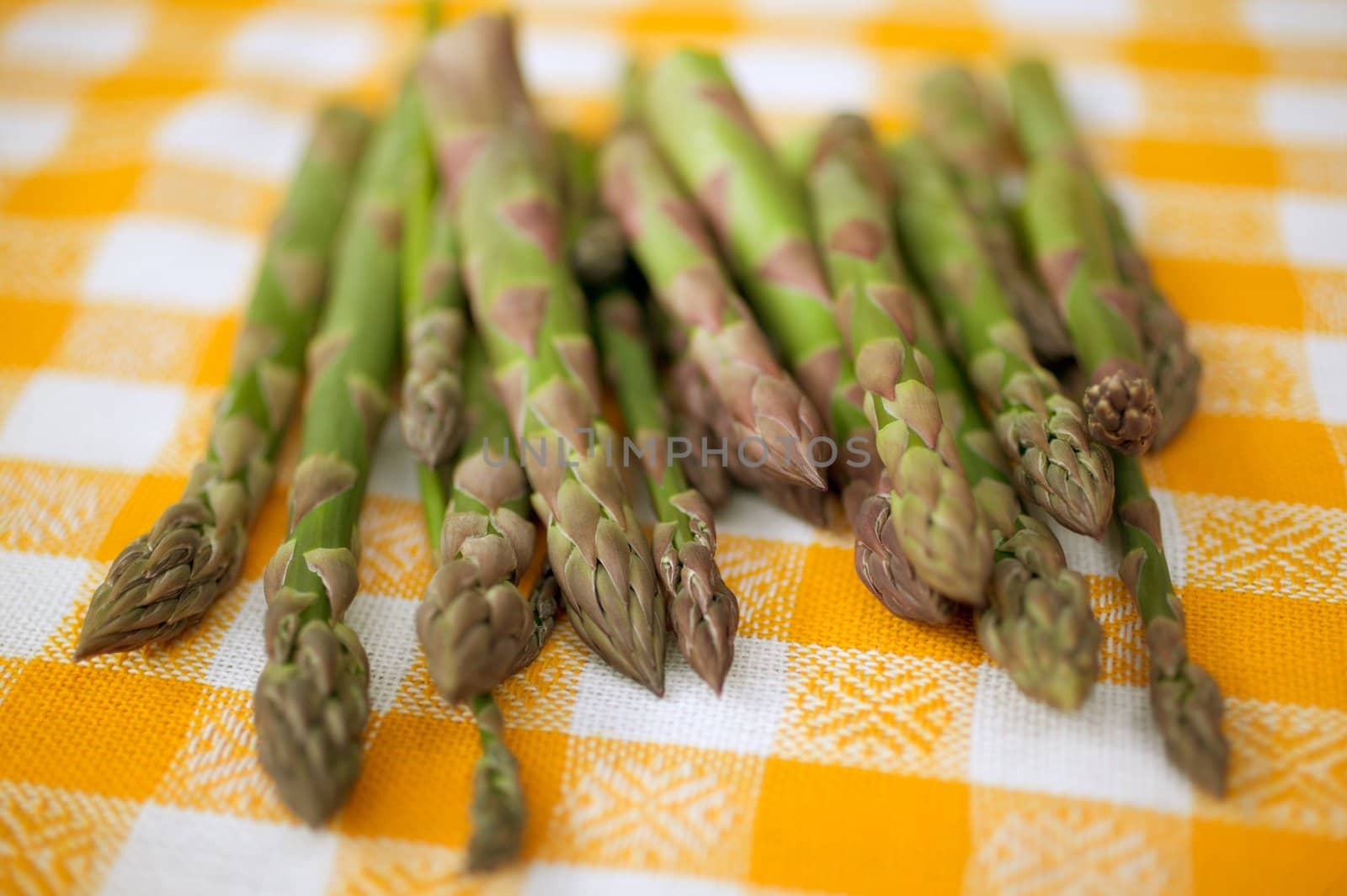 Fresh green asparagus (Asparagus Oficinalis) germs