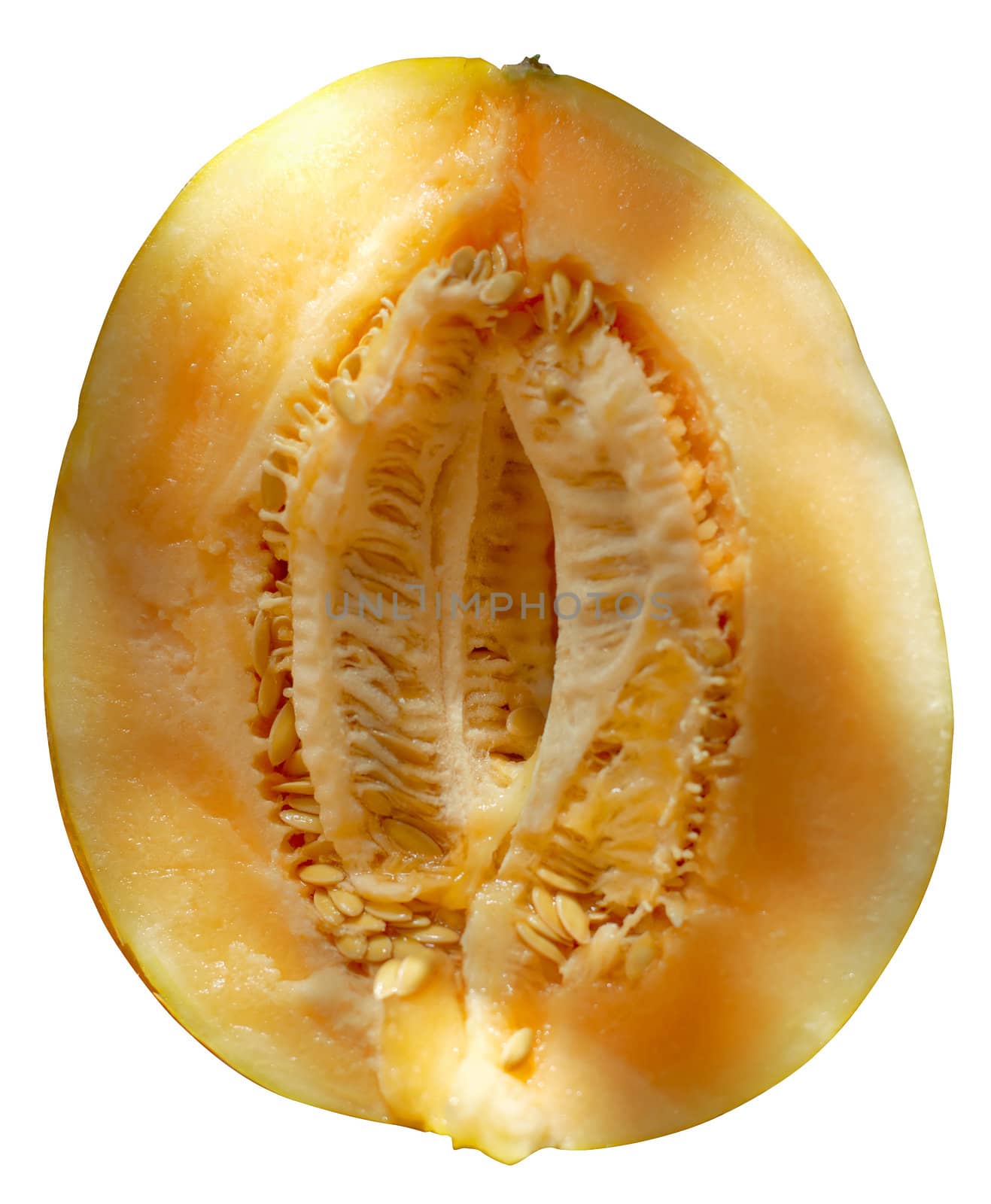 Ripe melon by ecobo