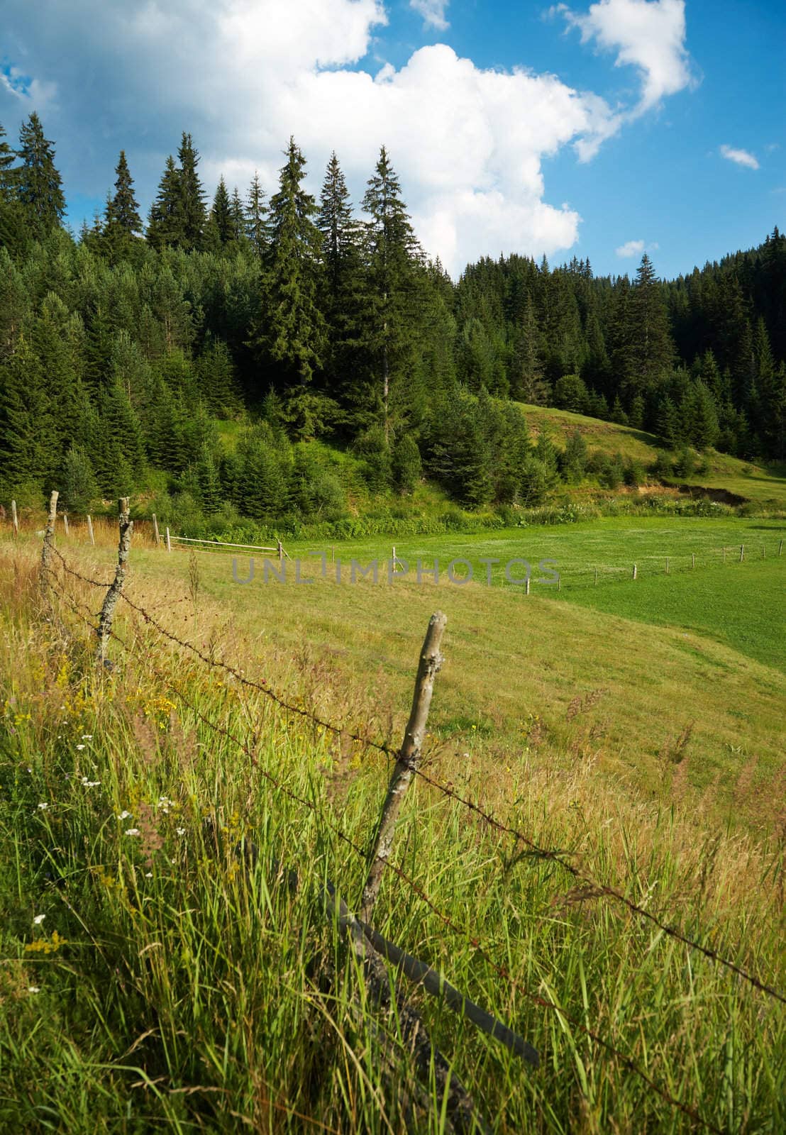 Mountain scenery from the Rhodope mountains, Bulgraria