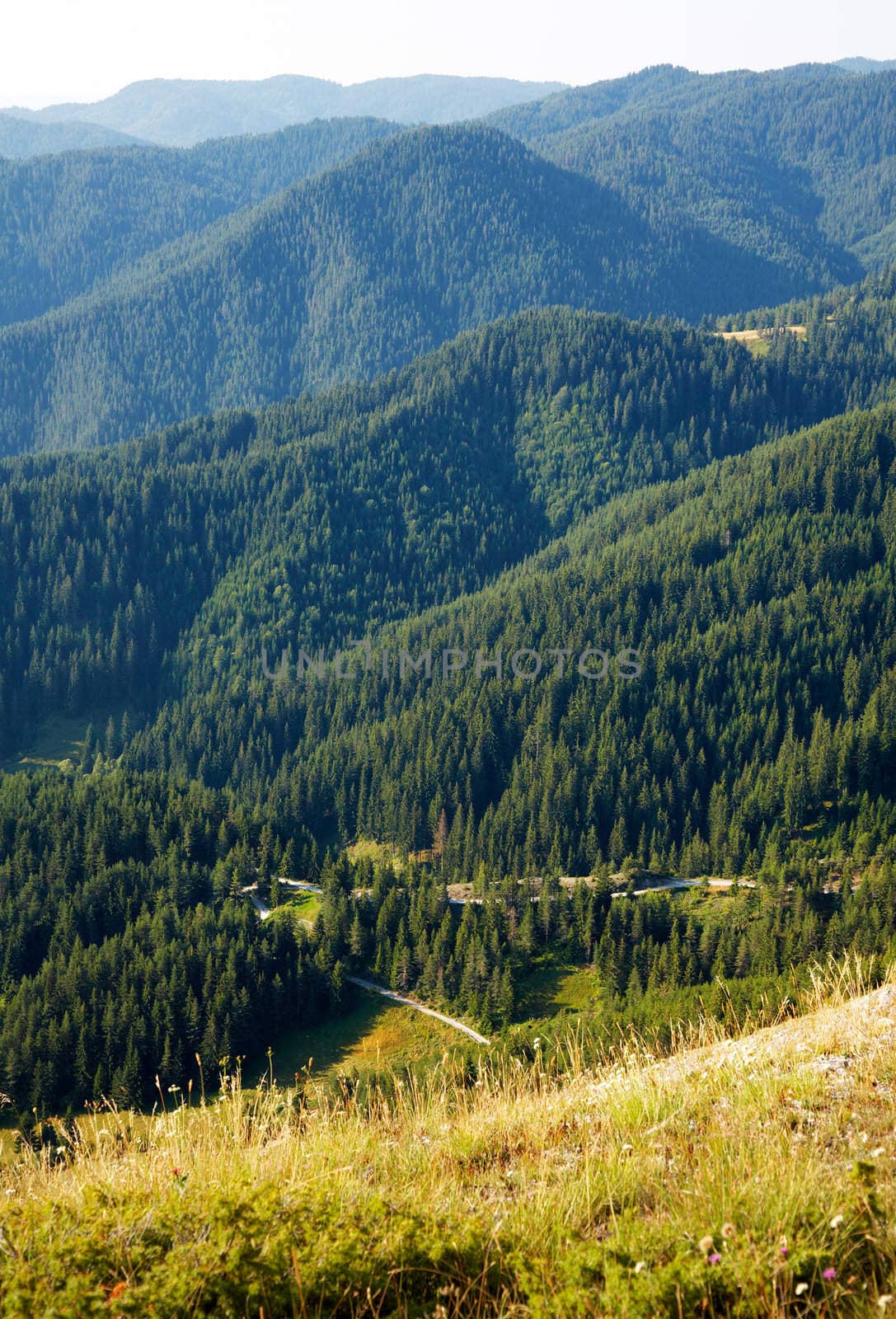 Slopes of the Rhodope mountain by ecobo