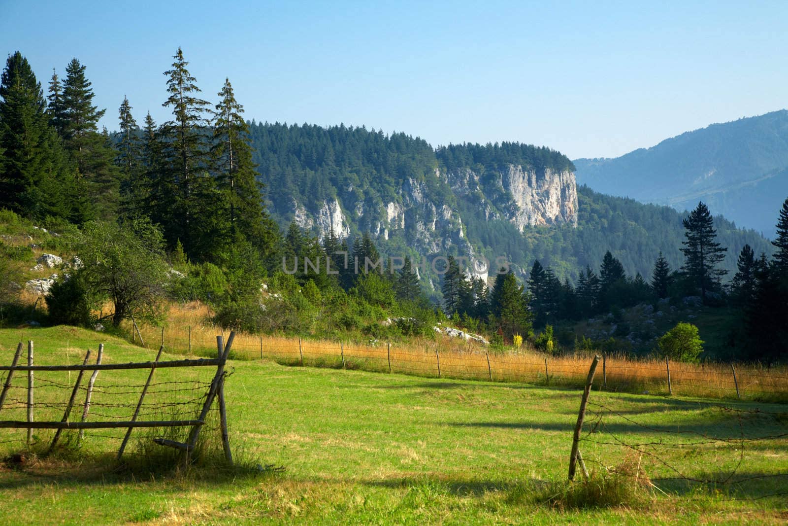 Summer landscape from the Rhodope mountain in Bulgaria