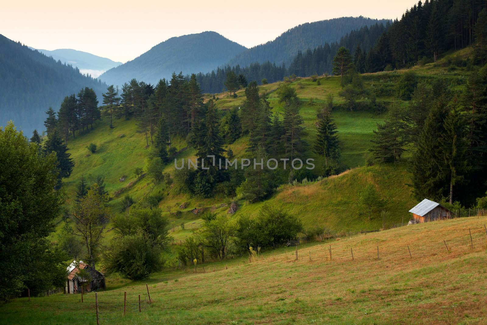 Summer in the Rhodope mountain, Bulgaria by ecobo