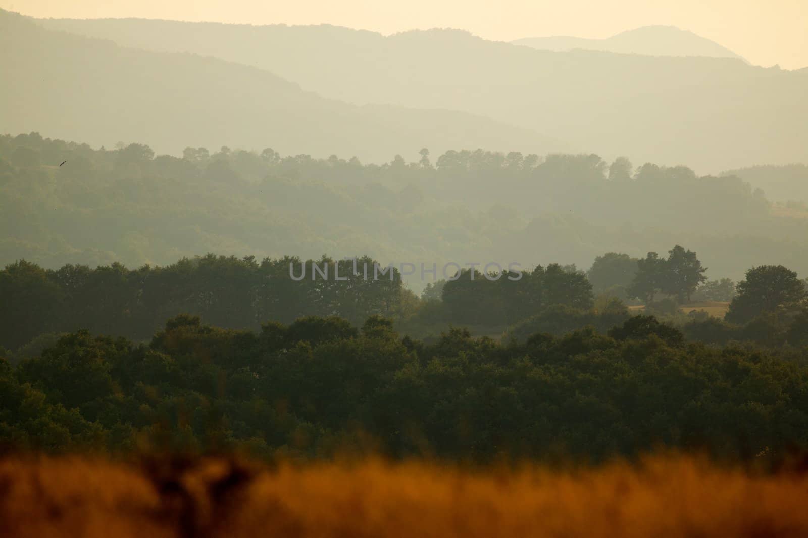 Mountain hills at sunset light