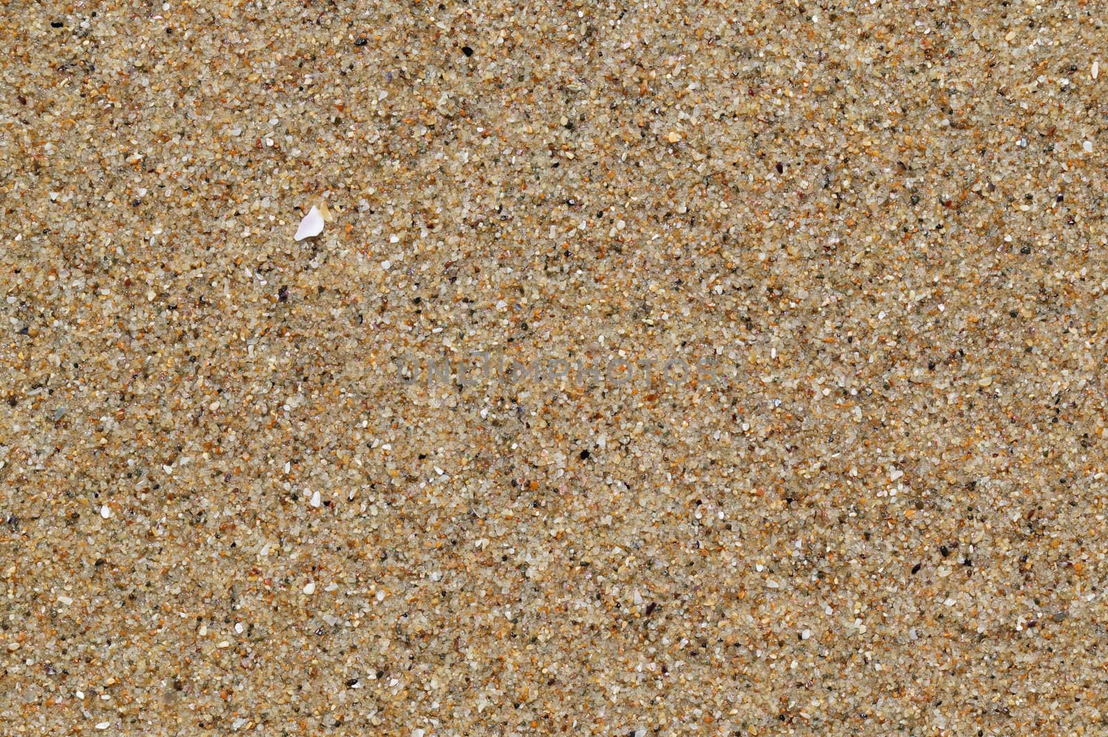 Wet sea sand background