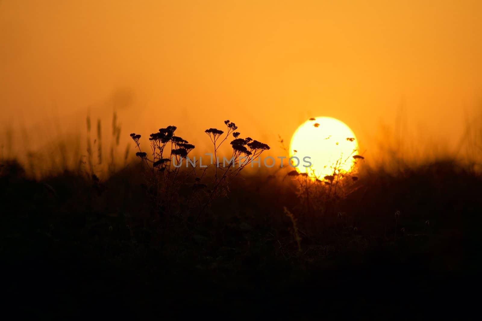 Sunset in the mountains by ecobo