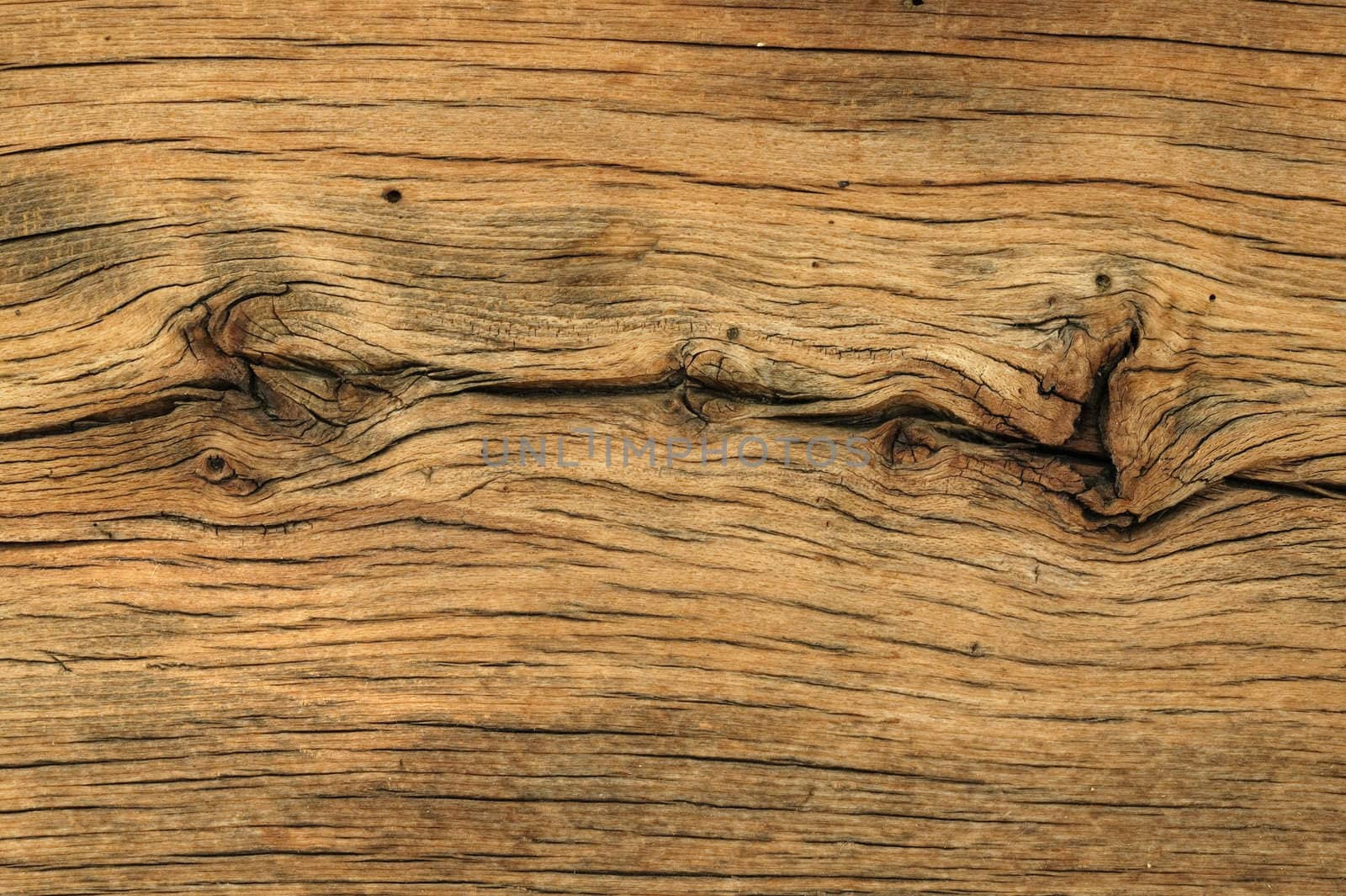 Old wood background