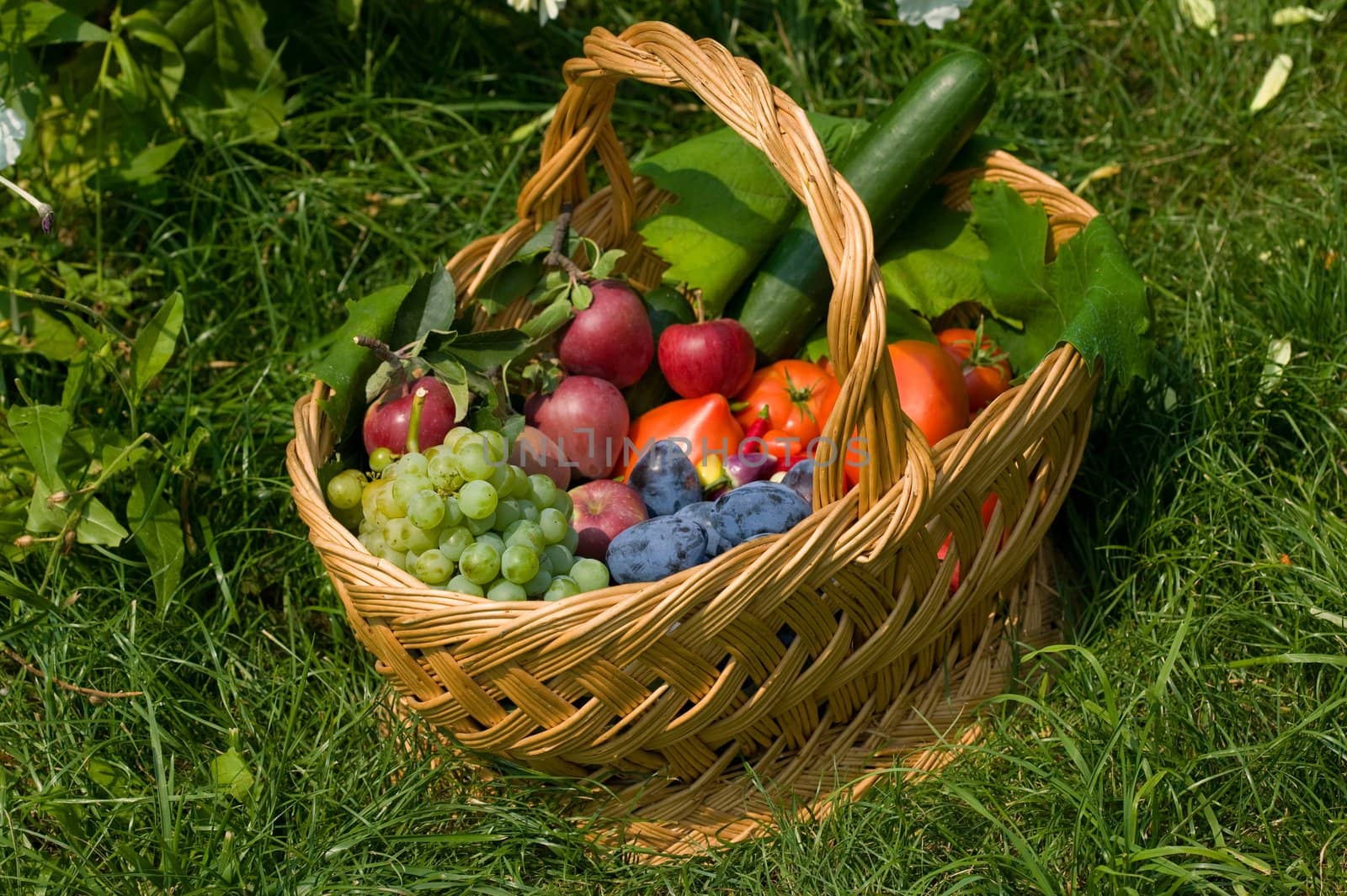 Fresh fruits in a basket by ecobo