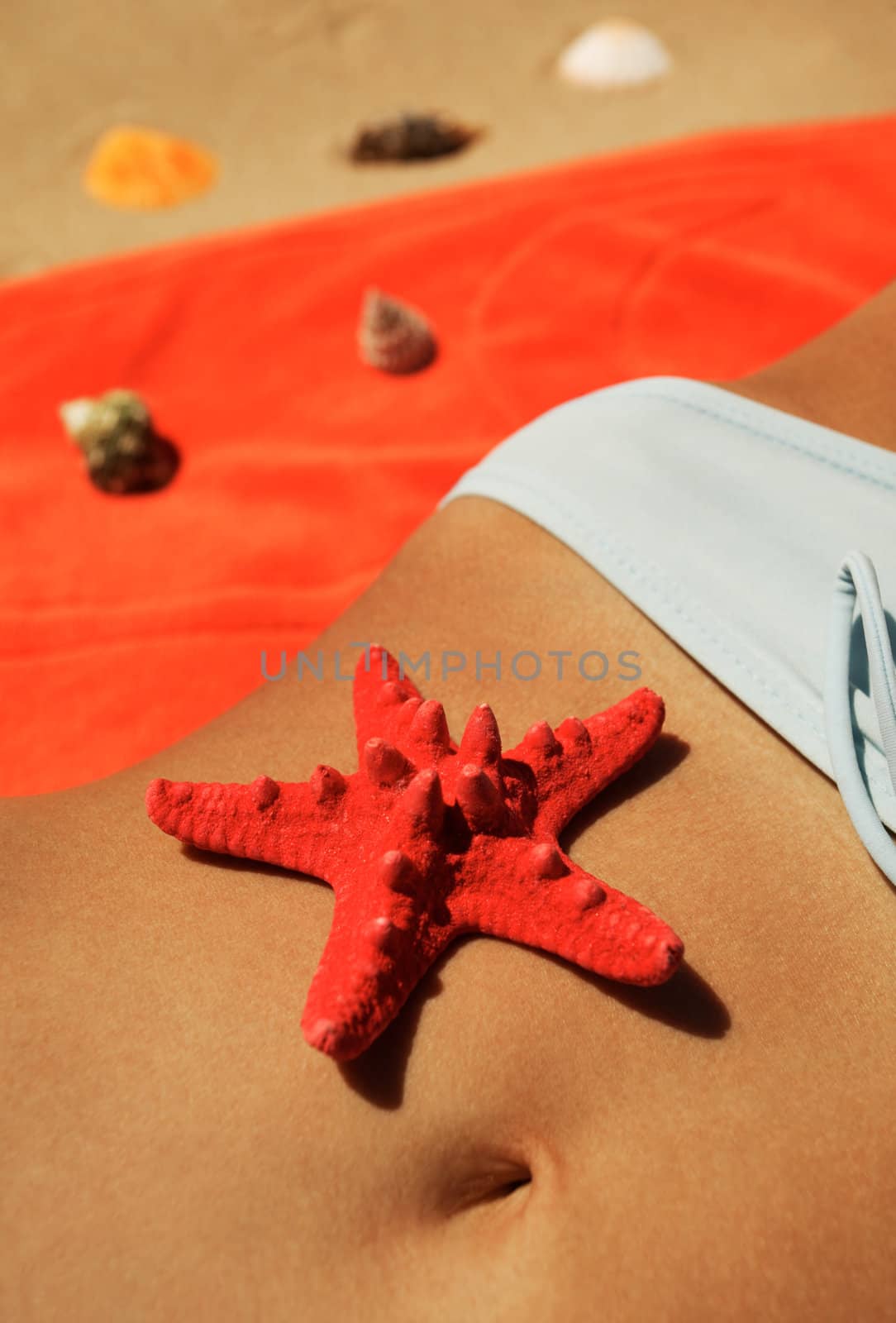 Beach scene with star-fish and hip