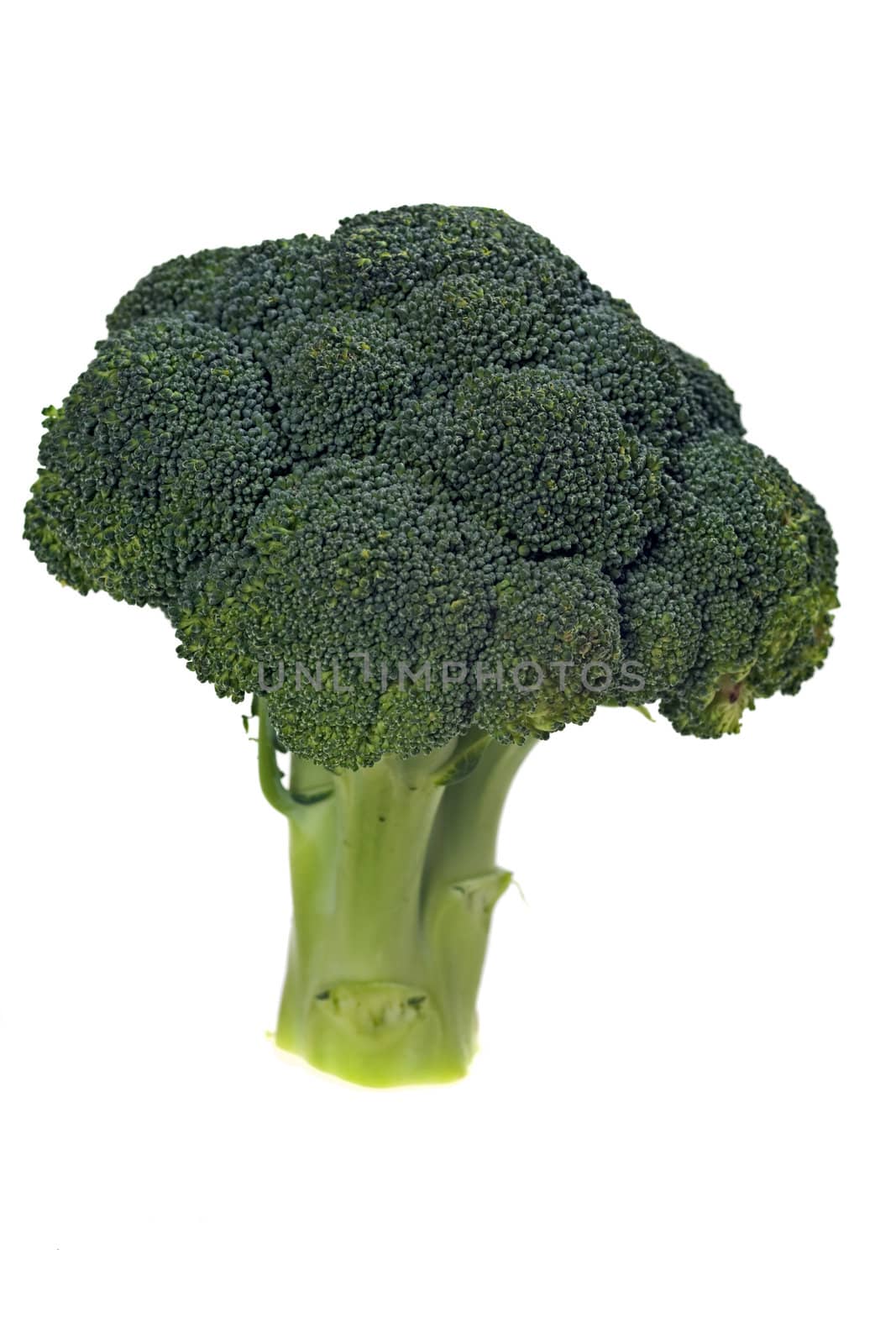 green broccoli isolated on white background