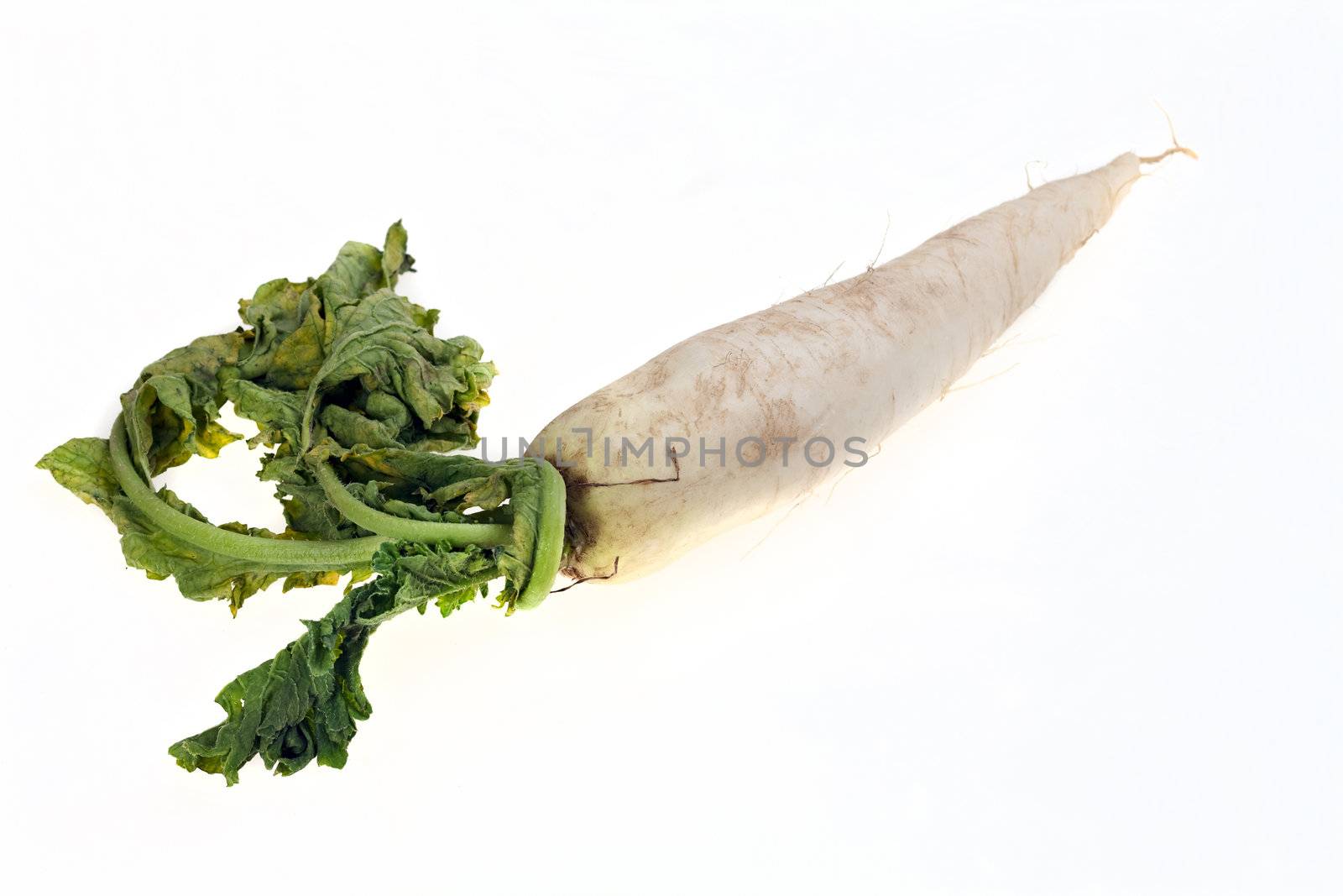 white radish isolated on white background